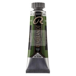 COLORE AD OLIO EXTRA FINE REMBRANDT TUBO T6 DA 15ml 623 VERDE VESCICA