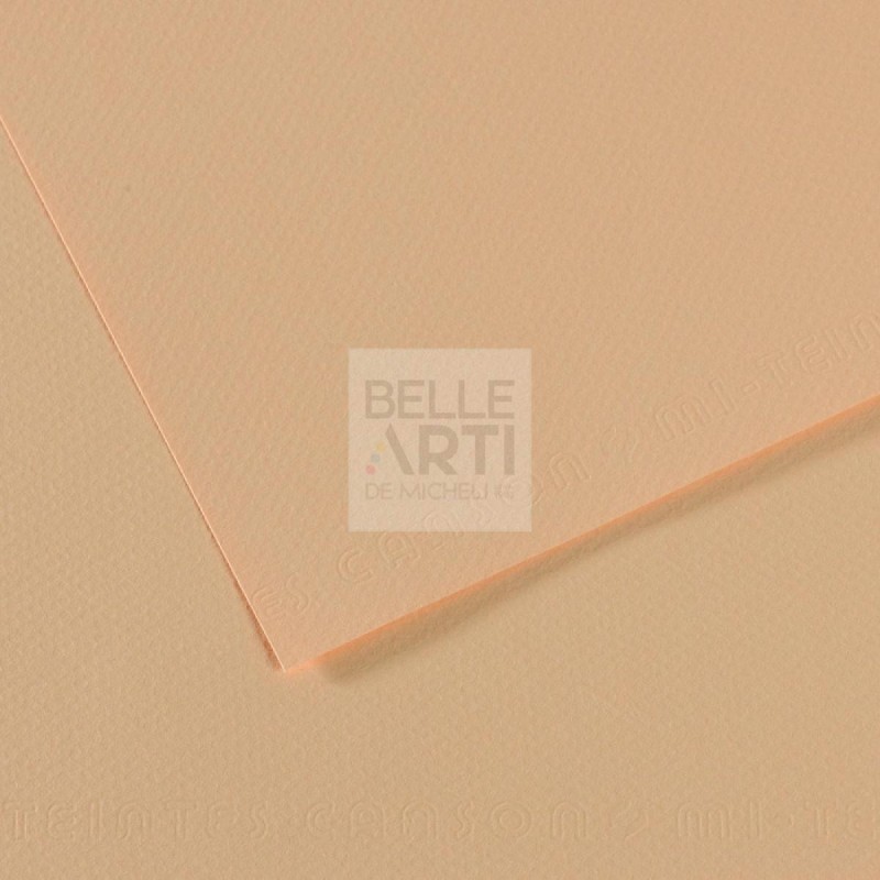 CARTA IN FOGLIO MI-TEINTES 50X65 160gr. 350 ROSA MURAGLIA  ***in esaurimento