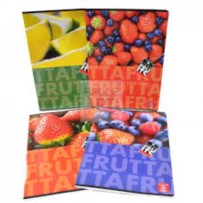 QUADERNO MAXI A4 FANTASIA MISTA 80 GR. RIGATURA A