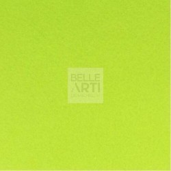 CARTA IN FOGLI COPYTINTA " COLORI FORTI " F.TO A4 160 GR - VERDE PISELLO