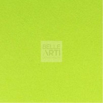 CARTA IN FOGLI COPYTINTA " COLORI FORTI " F.TO A4 160 GR - VERDE PISELLO