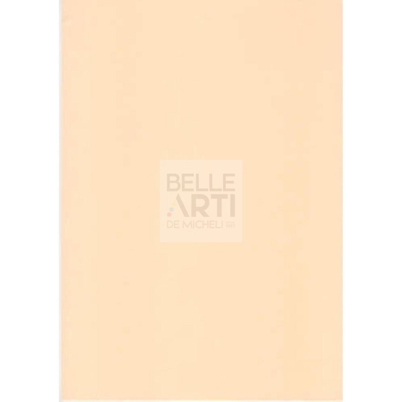 CARTA IN FOGLI COPYTINTA " COLORI TENUI " F.TO A4 160 GR - ALBICOCCA