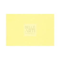 CARTA IN FOGLI COPYTINTA " COLORI TENUI " F.TO A4 160 GR - BANANA