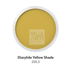 PAN PASTEL PIGMENTO COMPRESSO 250.3 DIARYLIDE YELLOW SHADE