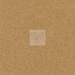 PASTELCARD IN FOGLI 360GR 50X70 - TERRA DI SIENA NATURALE