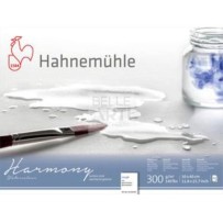 BLOCCO CARTA HARMONY F.TO 30X40 - 300 GR. GRANA GROSSA 12 FG. COLLATO SU 4 LATI
