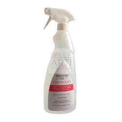 DETERGENTE " NOVECENTO PAINT " SPRAY 750 ML