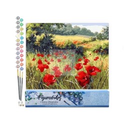 Papaveri di campo TELA PER PITTURA IN KIT PRE STAMPATA DIPINGERE CON I NUMERI 40X50CM - SENZA TELAIO