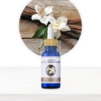FRAGRANZA E AROMI PER CANDELE 15 ml - VANIGLIA - Vanilla Whisper
