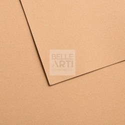 CARTA IN FOGLIO CANSON VELVET FORMATO 50X65 CM 430 GR. - 603 BEIGE DORATO