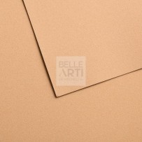 CARTA IN FOGLIO CANSON VELVET FORMATO 50X65 CM 430 GR. - 603 BEIGE DORATO