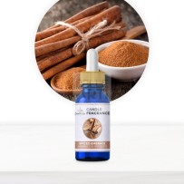 FRAGRANZA E AROMI PER CANDELE 15 ml - CANNELLA - Spiced embrace