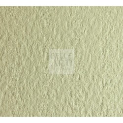 CARTONCINO TINTORETTO CREMA GR. 250 72 X 101 FG 125