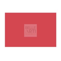 CARTA IN FOGLI COPYTINTA " COLORI FORTI " F.TO A4 200 GR - ROSSO