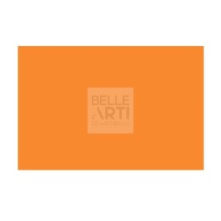 CARTONCINO BRISTOL FABCOLORE GR.200 F.TO 70 X 100 - 228 ARANCIO