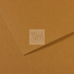 CARTA IN FOGLIO MI-TEINTES 75X110 160gr. 336 CAUCCIÙ