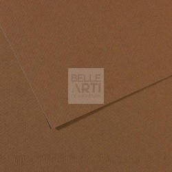 CARTA IN FOGLIO MI-TEINTES 50X65 160gr. 133 SEPPIA ***in esaurimento