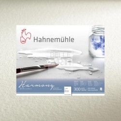 Harmony F.To 24x30 - 300 Gr. Grand grain 12 FG. Collez sur 4 côtés