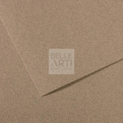 CARTA IN FOGLIO MI-TEINTES A4 160gr. COL. 431 GRIGIO SCREZIATO